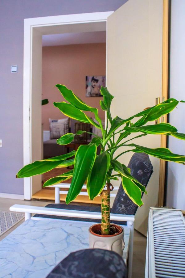 Bb Downtown Apartment 바이나 바슈타 외부 사진